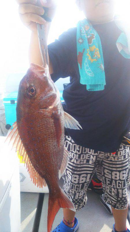 ブルドック 釣果