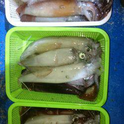 海龍丸（石川） 釣果