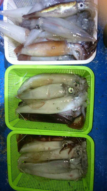 海龍丸（石川） 釣果