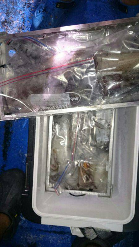 海龍丸（石川） 釣果