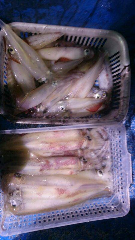 海龍丸（石川） 釣果