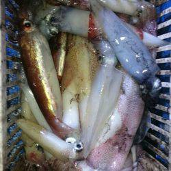 海龍丸（石川） 釣果