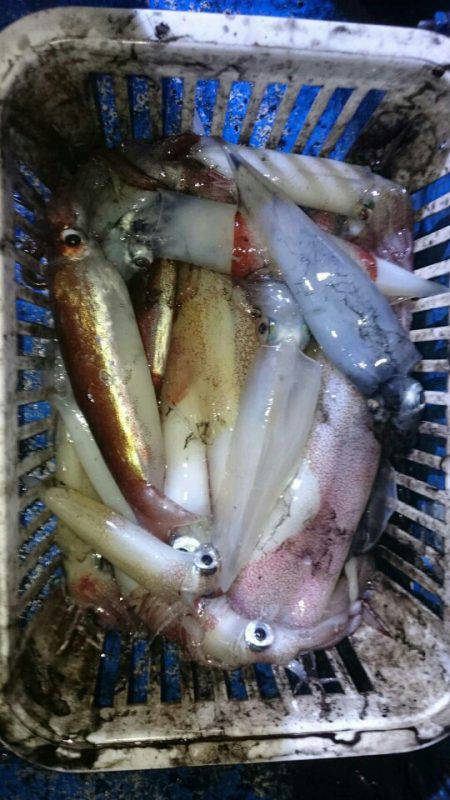 海龍丸（石川） 釣果