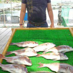 海の釣堀 海恵 釣果