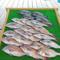 海の釣堀 海恵 釣果