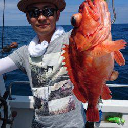 ARCADIAⅡ (アルカディアⅡ) 釣果