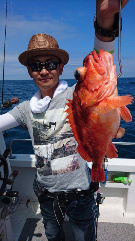 ARCADIAⅡ (アルカディアⅡ) 釣果