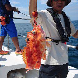 ARCADIAⅡ (アルカディアⅡ) 釣果