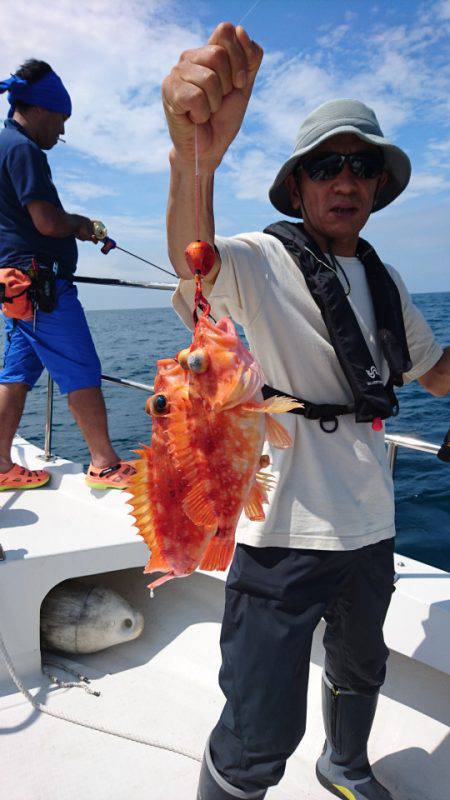 ARCADIAⅡ (アルカディアⅡ) 釣果