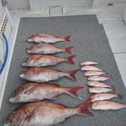 ARCADIAⅡ (アルカディアⅡ) 釣果