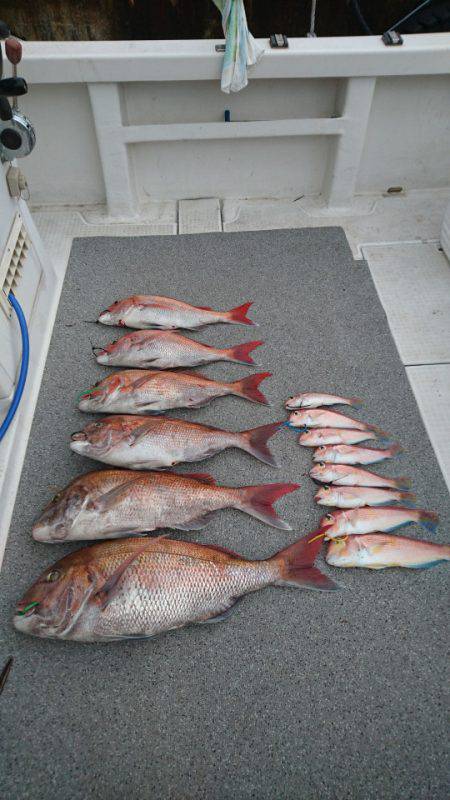 ARCADIAⅡ (アルカディアⅡ) 釣果