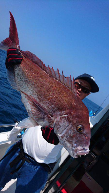 ARCADIAⅡ (アルカディアⅡ) 釣果