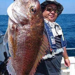 ARCADIAⅡ (アルカディアⅡ) 釣果