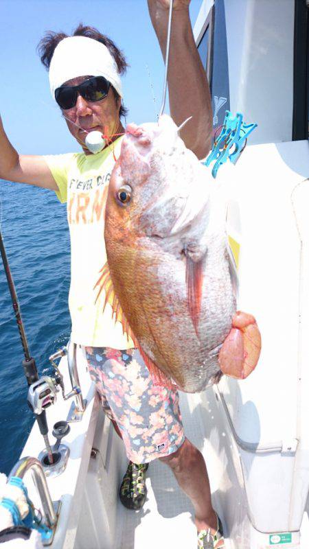 ARCADIAⅡ (アルカディアⅡ) 釣果