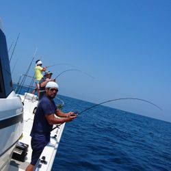 ARCADIAⅡ (アルカディアⅡ) 釣果