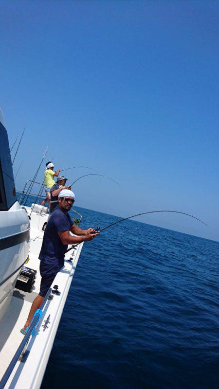 ARCADIAⅡ (アルカディアⅡ) 釣果