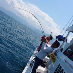 ARCADIAⅡ (アルカディアⅡ) 釣果