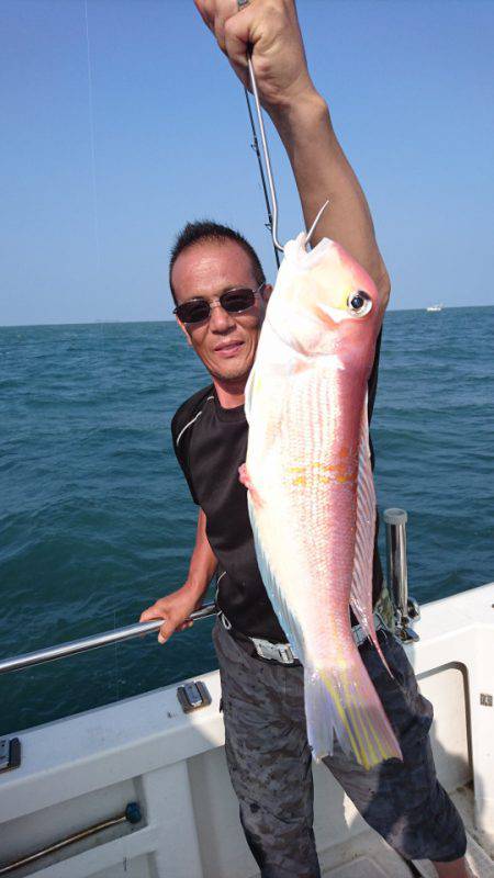 ARCADIAⅡ (アルカディアⅡ) 釣果