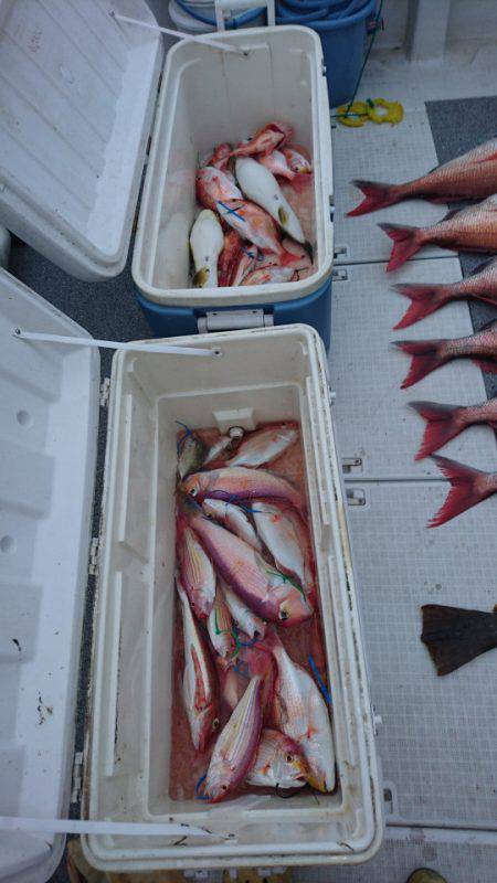 ARCADIAⅡ (アルカディアⅡ) 釣果