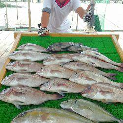 海の釣堀 海恵 釣果