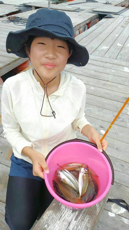 海の釣堀 海恵 釣果