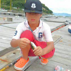 海の釣堀 海恵 釣果