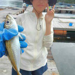 海の釣堀 海恵 釣果