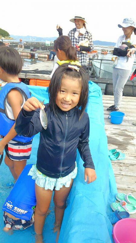 海の釣堀 海恵 釣果