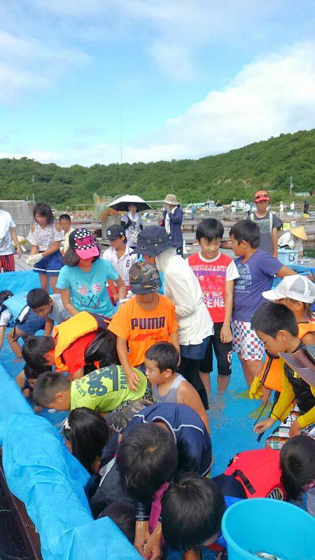 海の釣堀 海恵 釣果