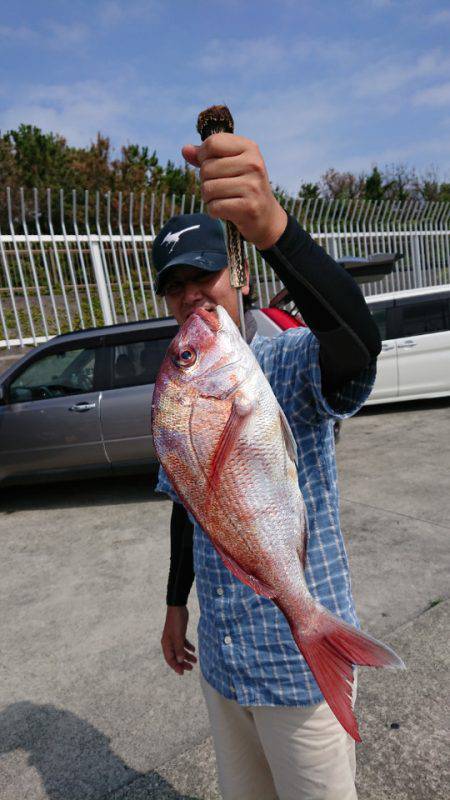 だて丸 釣果