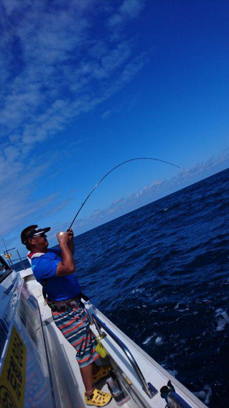 ARCADIAⅡ (アルカディアⅡ) 釣果