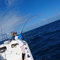 ARCADIAⅡ (アルカディアⅡ) 釣果