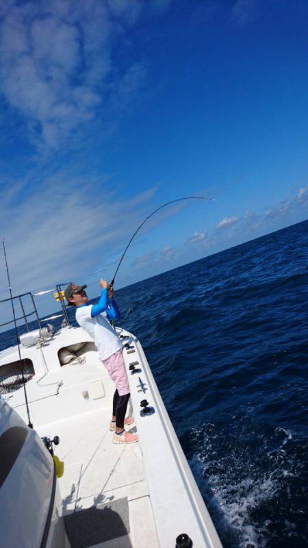 ARCADIAⅡ (アルカディアⅡ) 釣果