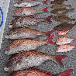 ARCADIAⅡ (アルカディアⅡ) 釣果