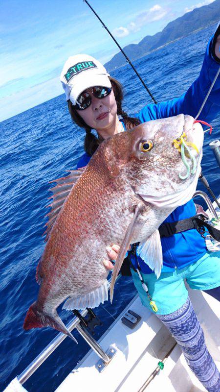 ARCADIAⅡ (アルカディアⅡ) 釣果