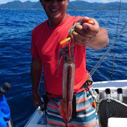 ARCADIAⅡ (アルカディアⅡ) 釣果