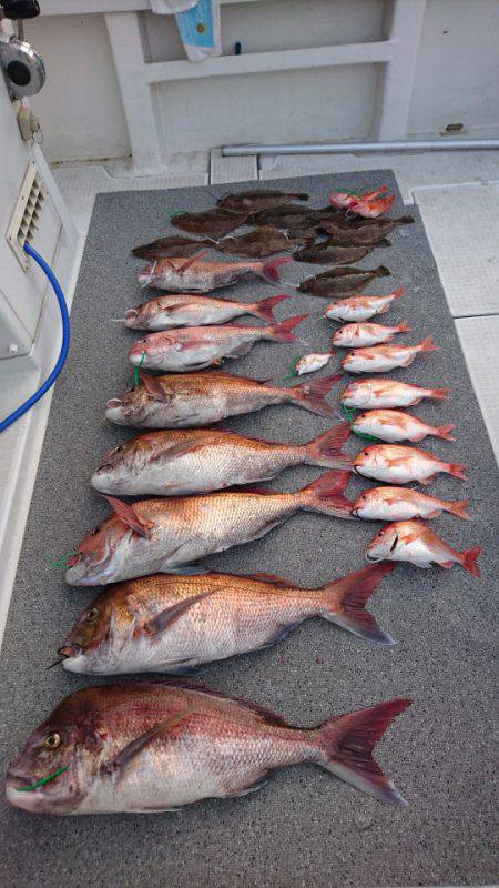 ARCADIAⅡ （アルカディアⅡ） 釣果…