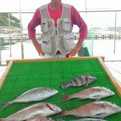 海の釣堀 海恵 釣果
