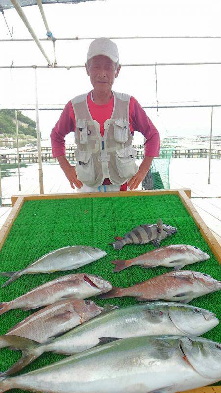 海の釣堀 海恵 釣果