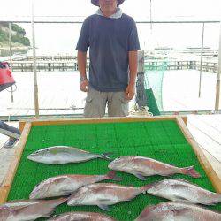 海の釣堀 海恵 釣果