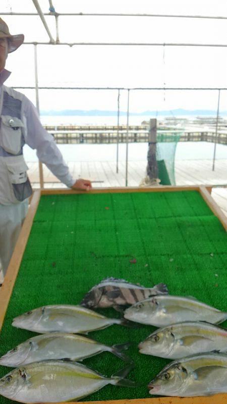 海の釣堀 海恵 釣果