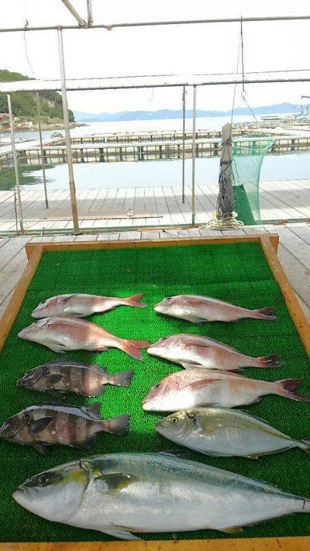 海の釣堀 海恵 釣果