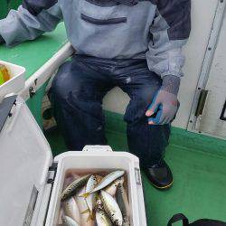 金沢八景鴨下丸 釣果