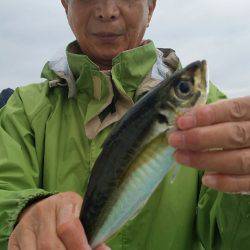 金沢八景鴨下丸 釣果