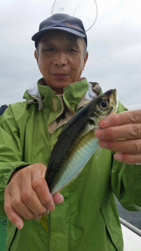 金沢八景鴨下丸 釣果