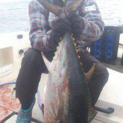 ブルドック 釣果