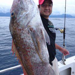 ARCADIAⅡ (アルカディアⅡ) 釣果