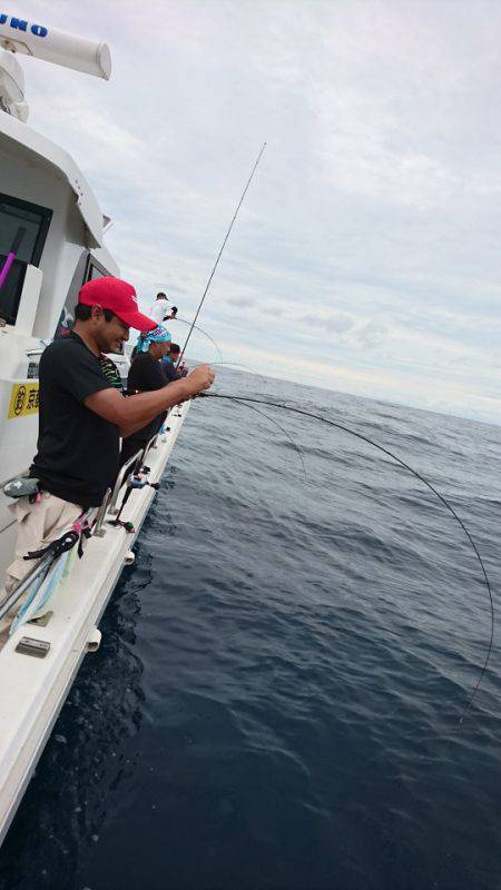 ARCADIAⅡ (アルカディアⅡ) 釣果