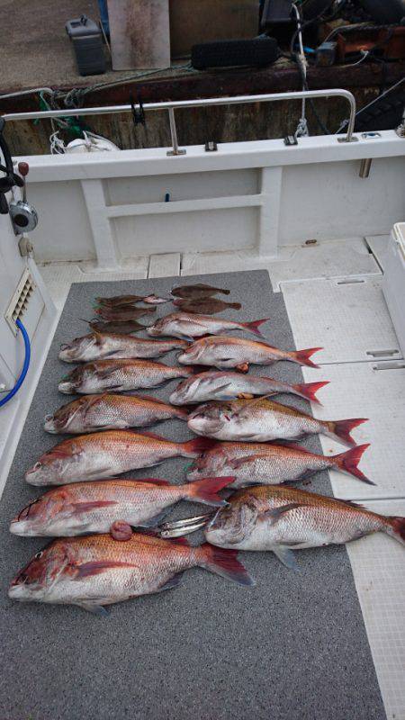 ARCADIAⅡ (アルカディアⅡ) 釣果