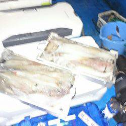 海龍丸（石川） 釣果